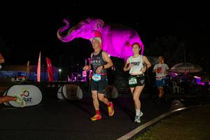 BIB: 
                            <button type="button" onclick="openModal(26542895)" class="btn btn-primary btn-sm float-right btn-popup" data-toggle="modal" data-target=".modal-high-quality">
                        <i class="fas fa-shopping-cart"></i> Add to Cart
                    </button>
                                            <button type="button" onclick="isThisMe(26542895, true)" class="btn btn-success btn-sm float-right btn-popup btn-isme hidden" data-toggle="tooltip" data-placement="bottom" title="นี่คือรูปของคุณใช่ไหม คลิกที่นี่เพื่อเอาเข้าอัลบั้ม">
                        <i class="fas fa-plus"></i> Add to album
                    </button>
                    <button type="button" onclick="isThisMe(26542895, false)" class="btn btn-warning btn-sm float-right btn-popup btn-isnotme hidden">
                        <i class="fas fa-ban"></i> Remove from album
                    </button>